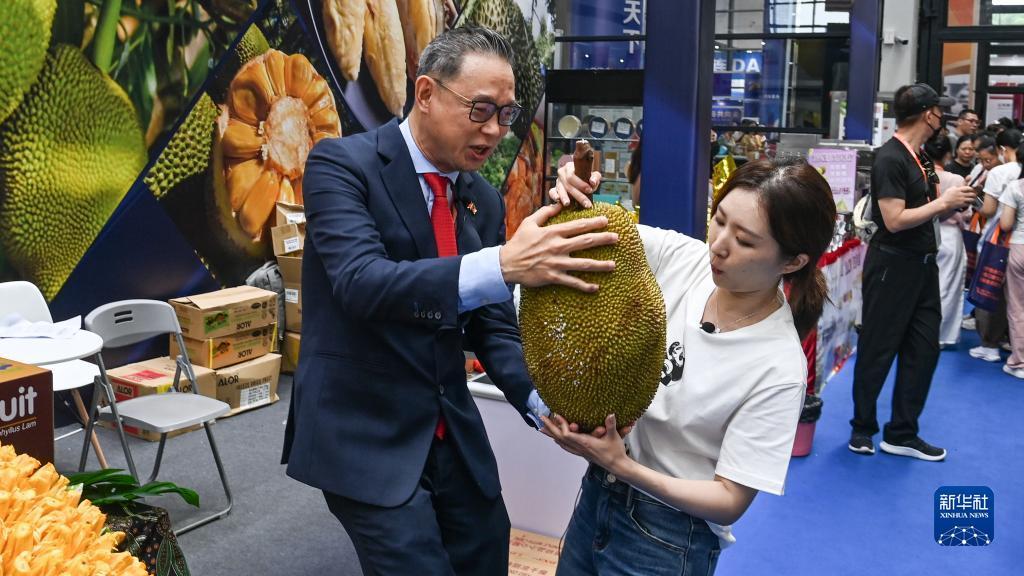 尊龙手机下载